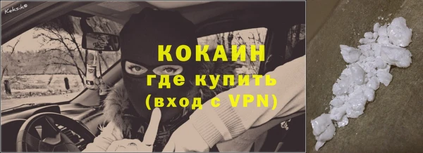 прущие крисы Бородино