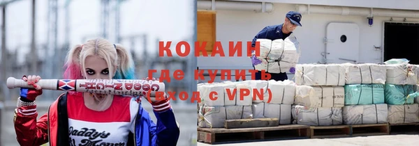 индика Беломорск