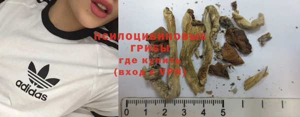 прущие крисы Бородино