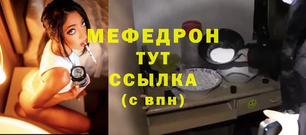 индика Беломорск