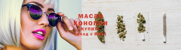 индика Беломорск