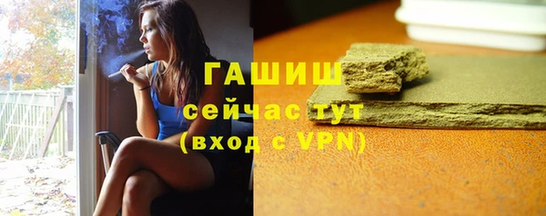 индика Беломорск