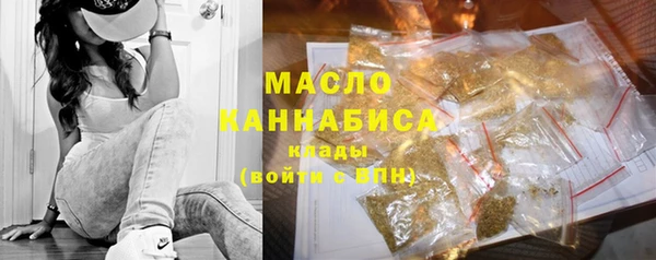 индика Беломорск