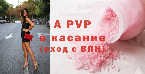 индика Беломорск