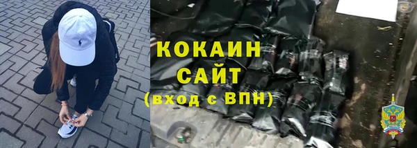 прущие крисы Бородино