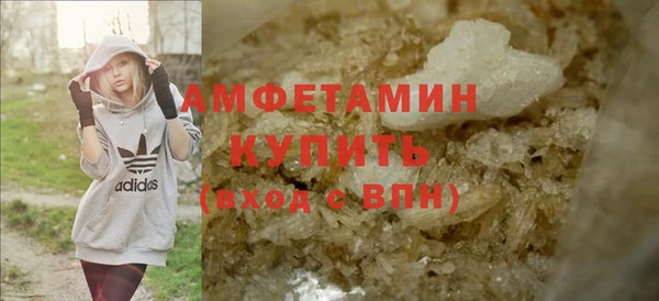 индика Беломорск