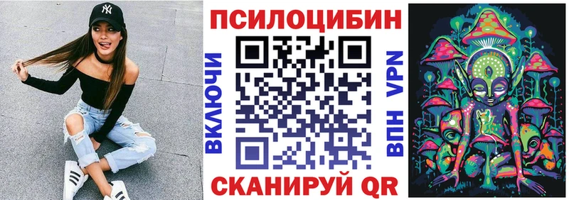 Купить закладки  Мурино  Галлюциногенные грибы Psilocybe 